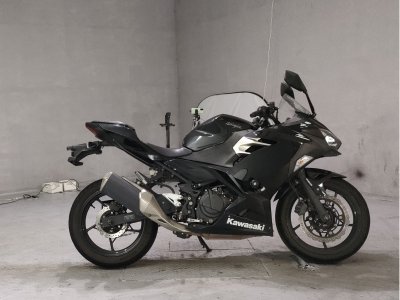 Kawasaki NINJA250 2019