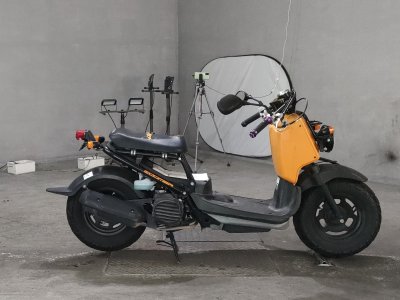 Honda ZOOMER 2012