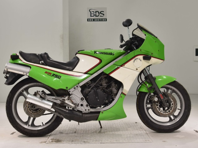 Kawasaki KR250