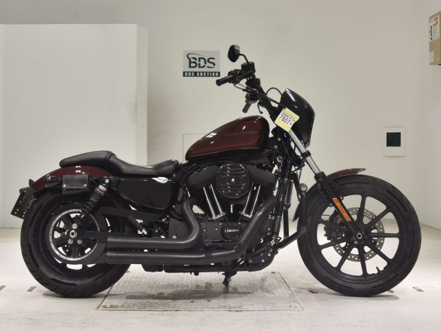 HD IRON XL1200NS 2018