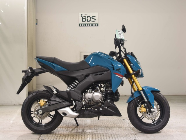 Kawasaki Z125 PRO 2021