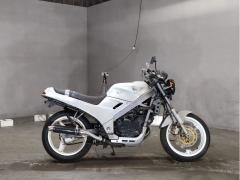 Honda VTZ250 1989