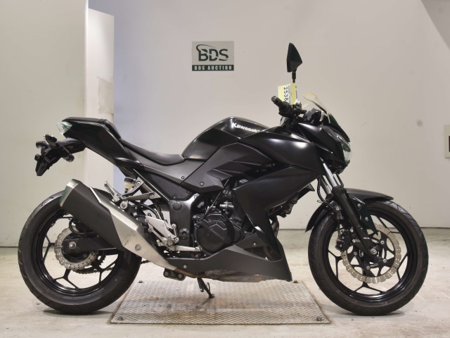 Kawasaki Z250 2013