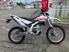 Yamaha WR250R 2009