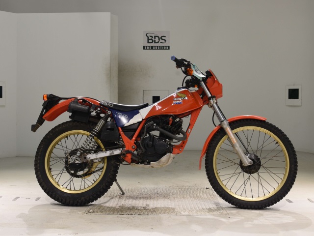 Honda TLR200 1983