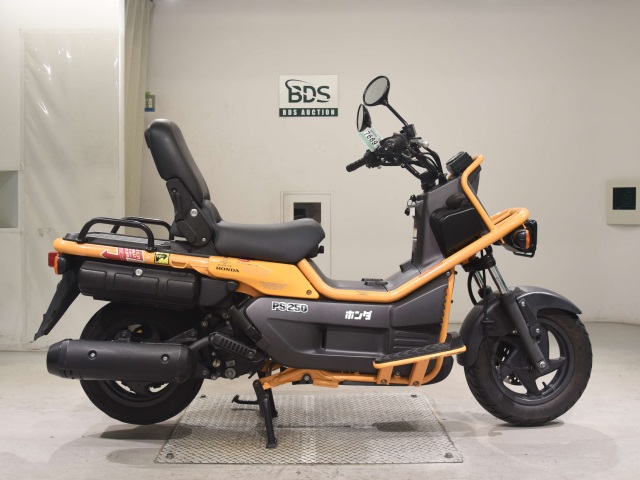 Honda PS250 BIG RUCKUS 2004