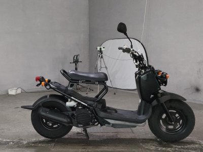 Honda ZOOMER 2009