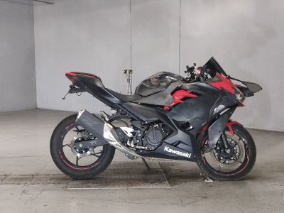 Kawasaki Z250 2018