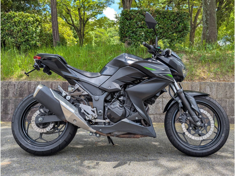 Kawasaki Z250 2013