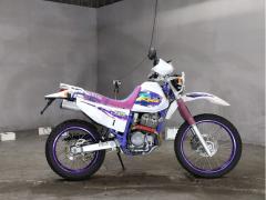 Yamaha TT250R RAID 1994