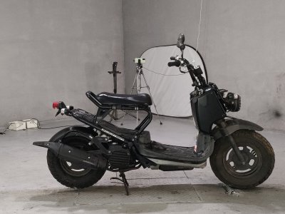 Honda ZOOMER 2004