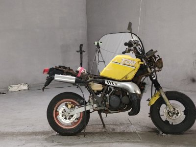Yamaha TDR50