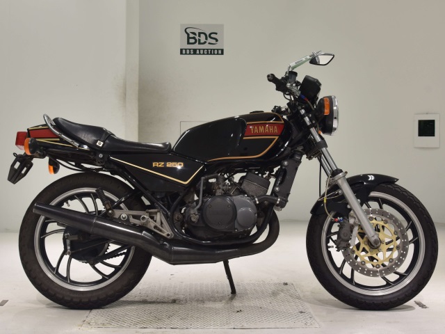 Yamaha RZ250