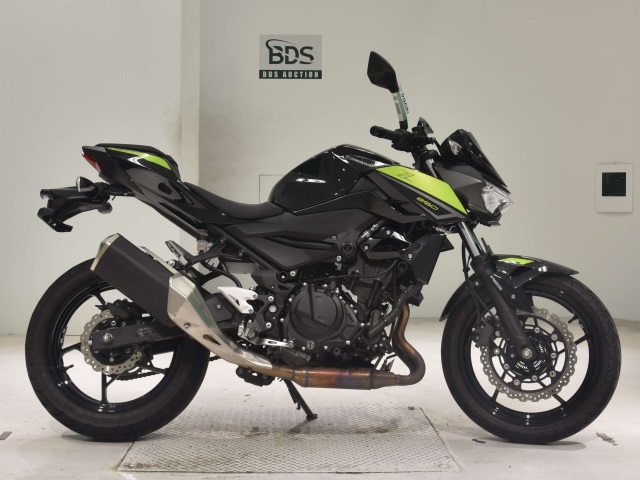 Kawasaki Z250 2022
