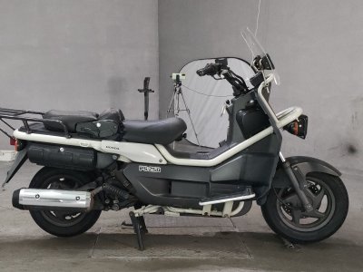Honda PS250 BIG RUCKUS 2004