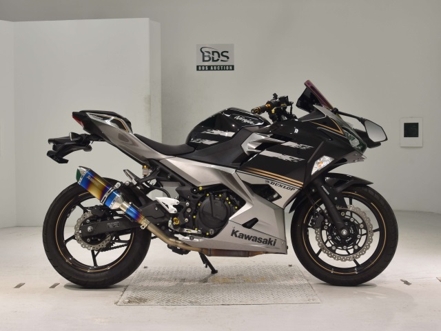 Kawasaki NINJA250 2019