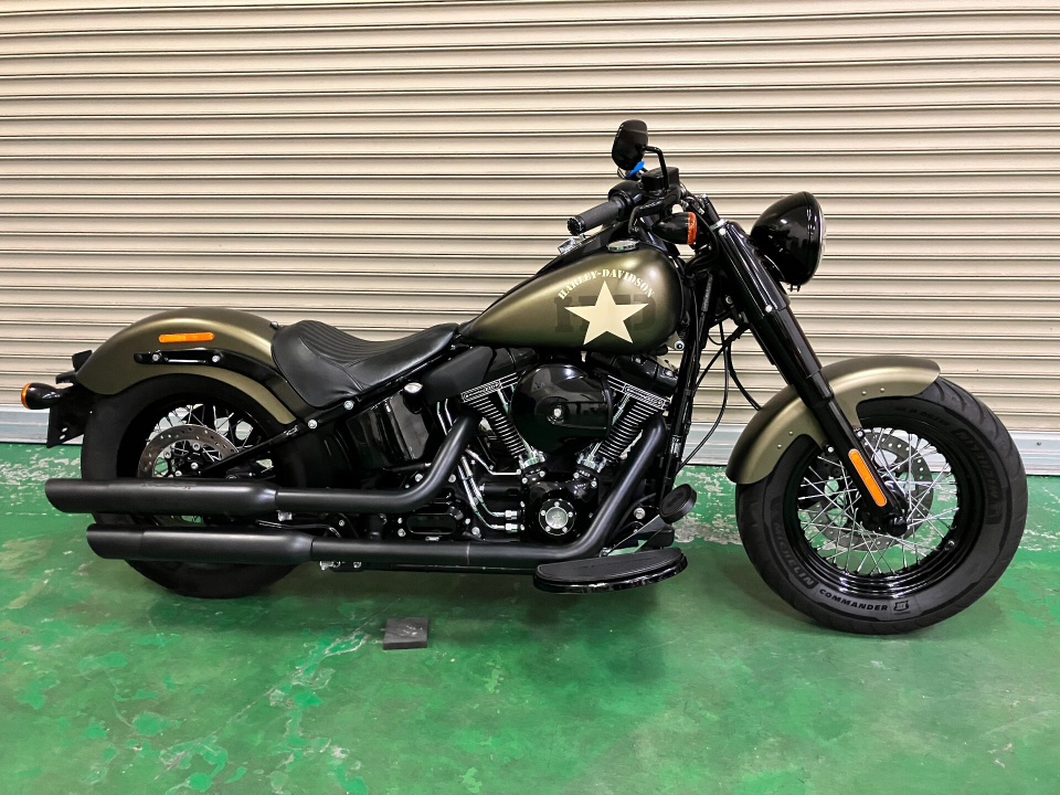 HD SLIM S FLSS1800 2017