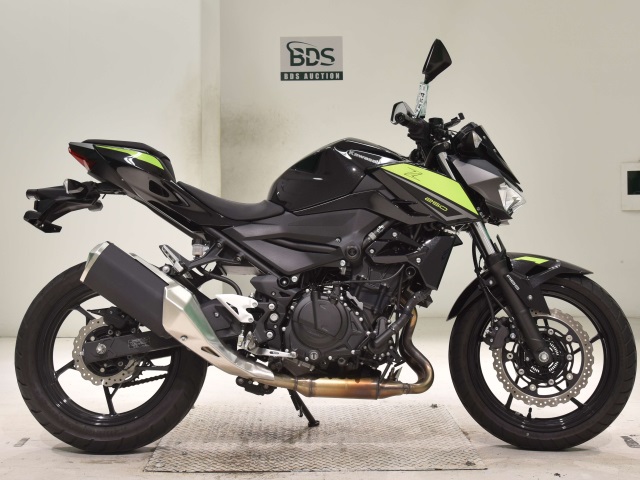 Kawasaki Z250 2022