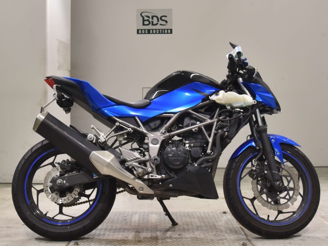 Kawasaki Z250SL 2016