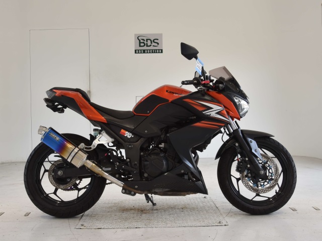 Kawasaki Z250 2014