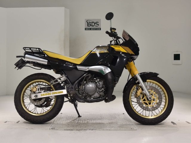 Yamaha TDR250 2019