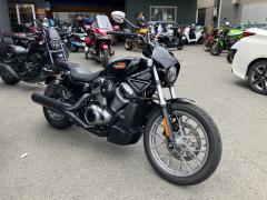 HD RH975 NIGHT STAR 2023