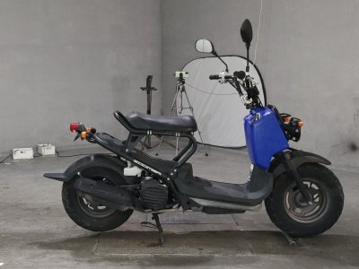 Honda ZOOMER 2008