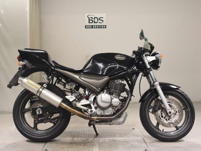 Suzuki GOOSE250