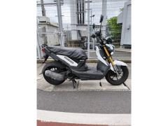 Honda ZOOMER-X 2014