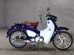 Honda SUPER CUB125 2019