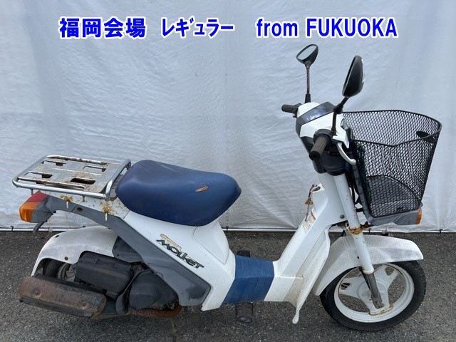 Suzuki MOLLET