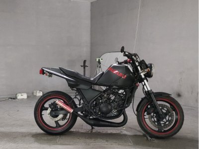 Yamaha TDR250 1988