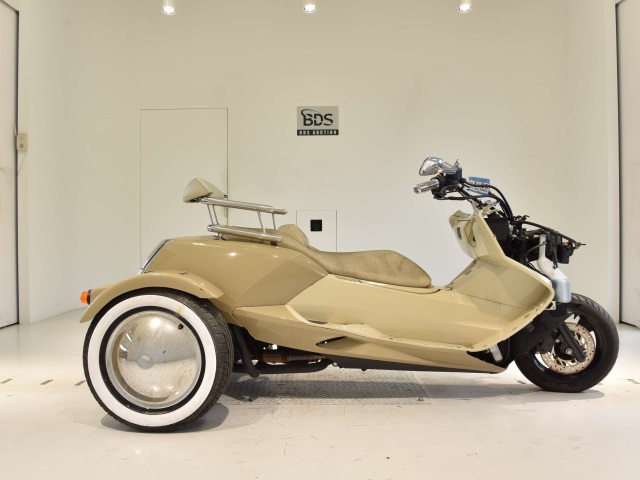 Yamaha MAXAM250 TRIKE 2012