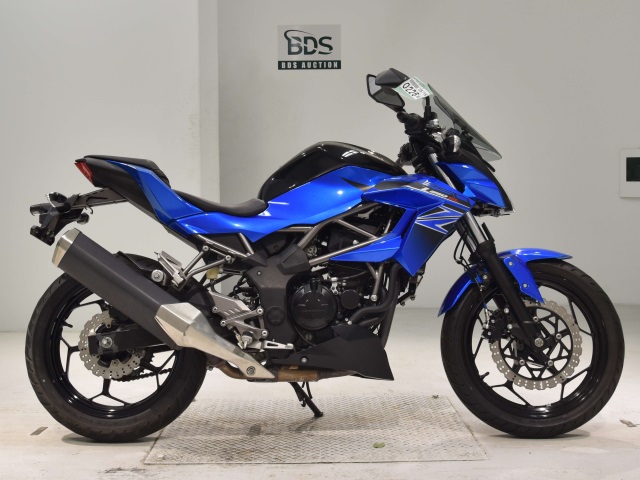 Kawasaki Z250SL 2016