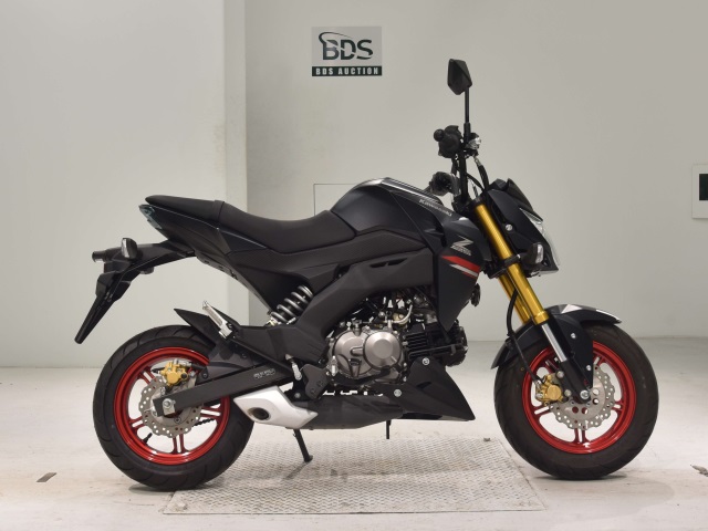 Kawasaki Z125 PRO 2021