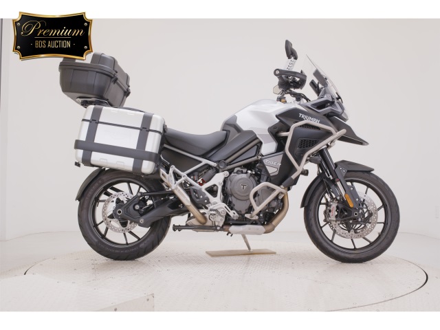Triumph TIGER 1200 2024
