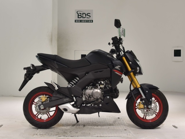 Kawasaki Z125 PRO 2021