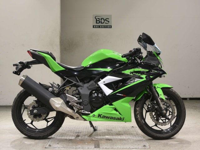 Kawasaki NINJA250 2015