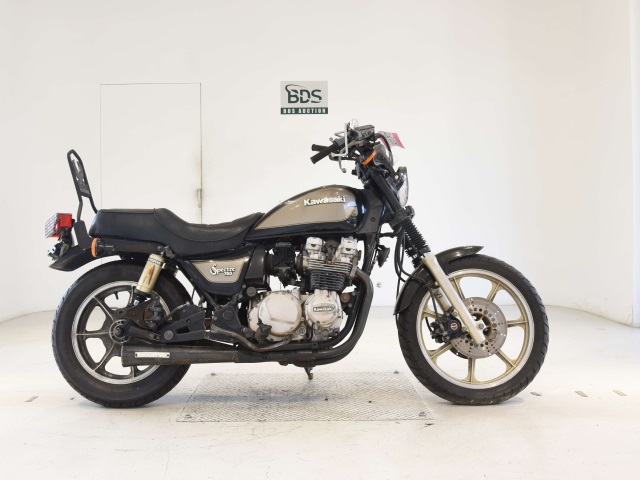 Kawasaki Z750SPECTER 2013