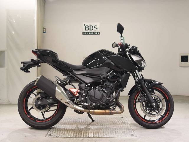Kawasaki Z250 2022