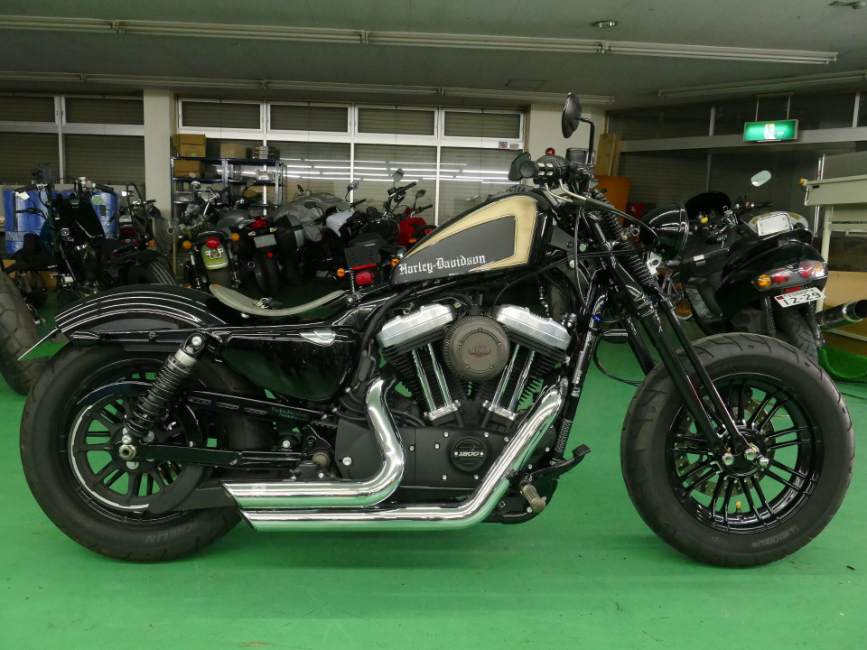 HD SPORTSTER XL1200S 2021