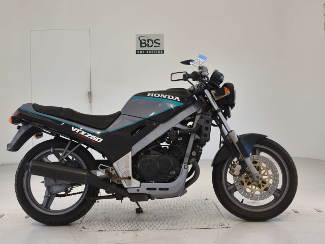 Honda VTZ250 1989