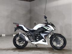 Kawasaki Z250 2014