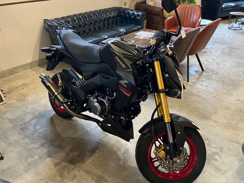 Kawasaki Z125 PRO 2021