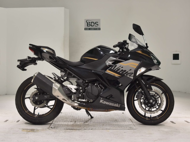 Kawasaki NINJA250 2020