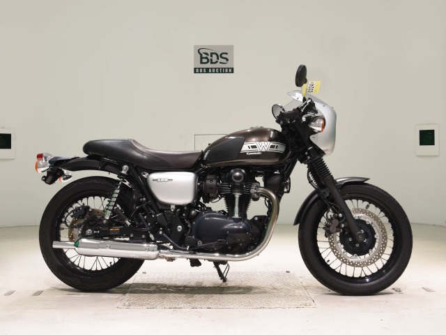 Kawasaki W800 2019
