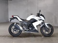 Kawasaki Z250 2013