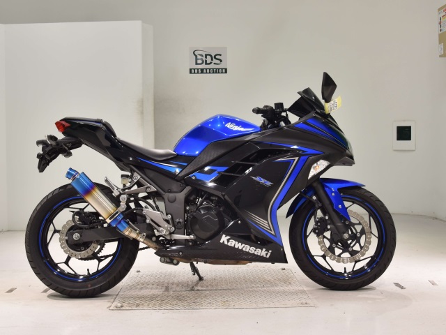 Kawasaki NINJA250 2015