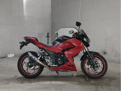 Kawasaki Z250 2013