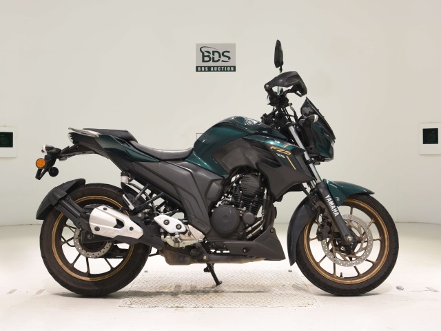 Yamaha FZ25 2020